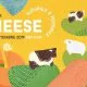 IT Cheese 2019 yellow H 1024x512